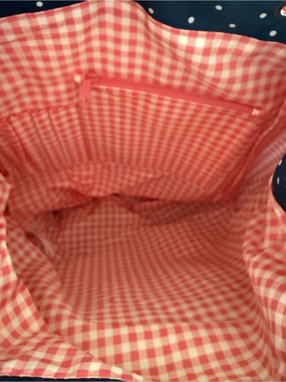 Matilda Jane 435 A+ Navy Blue & Pink gingham Backpack